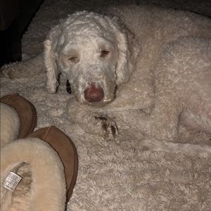 Meet your Posher, Carly